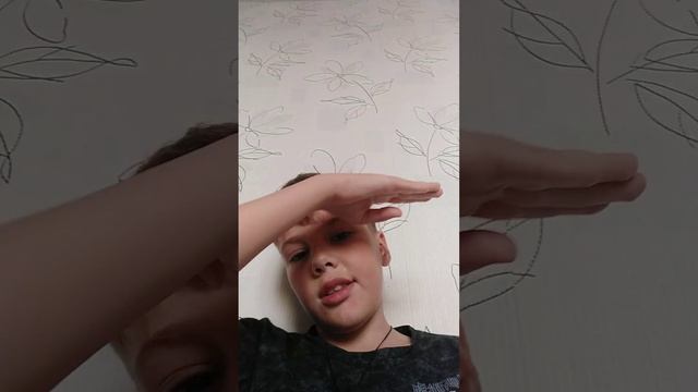 Короче говоря уже об видео