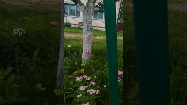 ура два подписчика