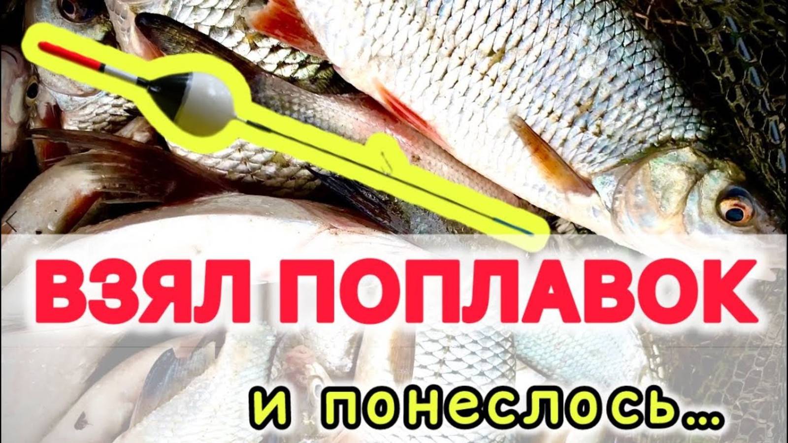Ловля на поплавочную удочку в проводку на течении. Подбор места, удочка, леска, поплавок, прикормка