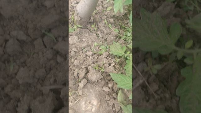 1000021541.mp4