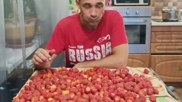 Клубника. Сезон 2025.