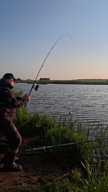 РЫБАЛКА НА КАРАСЯ. Рассвет 🔥поклевка 🎣 кайф 😎