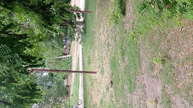 VID_20250623_152602