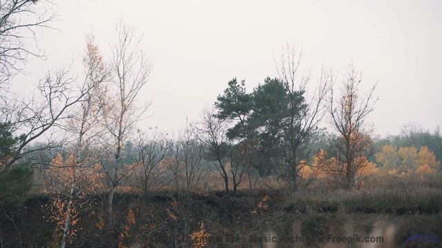 Музыка наполняет душу светом при каждом кадре - Desgarro (XLIV) -- opo -- Estudios Indigeniformes
