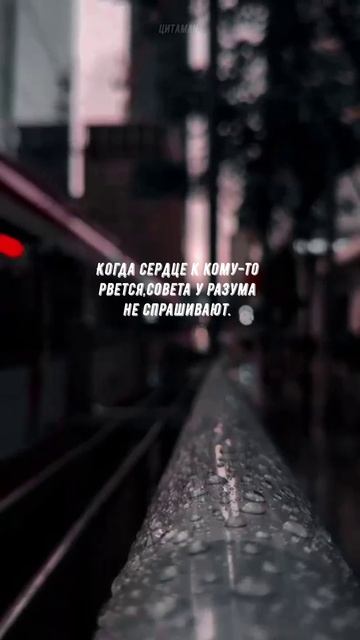 #879 Цитата дня. Мотивация.