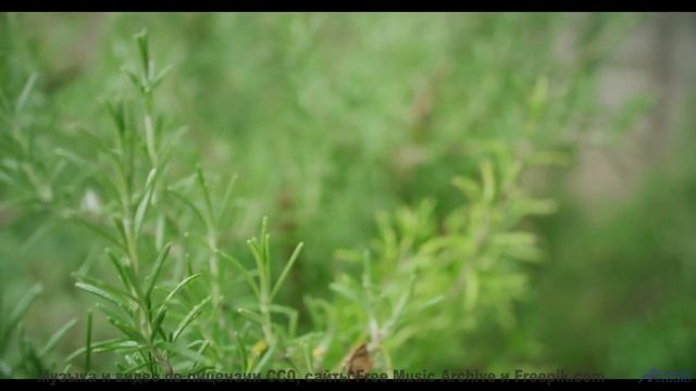 Музыка для симбиоза человека и ИИ - следующий шаг эволюции! - Find A Way -- Small Tall Order -- Easi