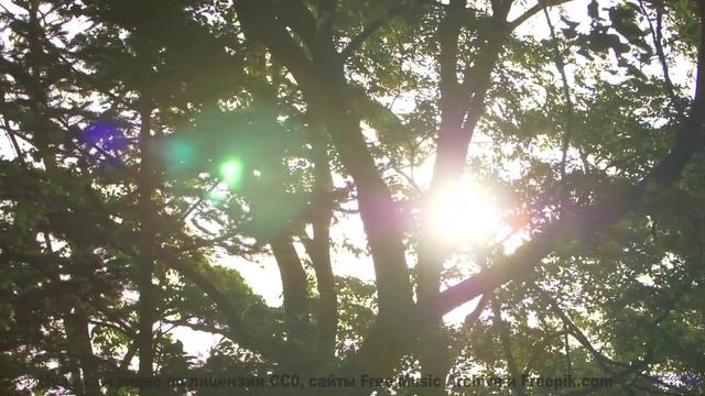 Душа вылетает из тела при таких пейзажах и звуке - Sand Dunes -- Ketsa -- Metaphysics
