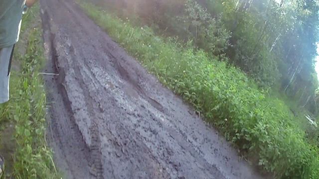 Болото небольшое и дорога после дождя...
