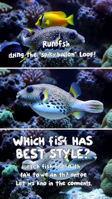 fish