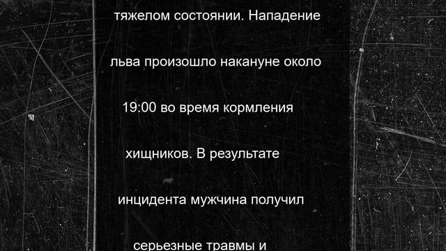 Стало известно, как Олегу Зубкову зашивали разодранную львом трахею