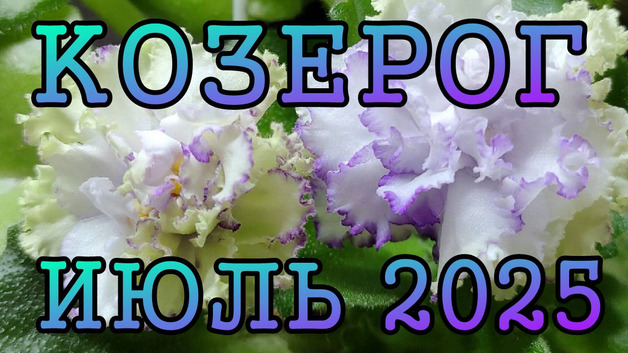 КОЗЕРОГ таро прогноз на ИЮЛЬ 2025 года.