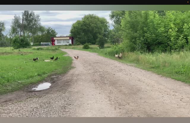Село Старолетово (слайдшоу лето 2025)