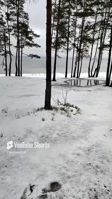 Финский залив согрелся