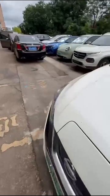1000182389.mp4