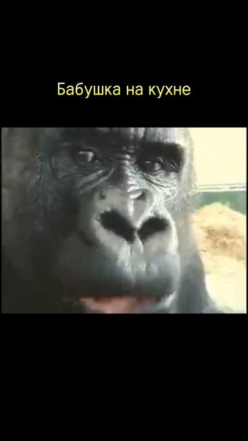 Неловкая Ситуация // #shorts #memes #pov