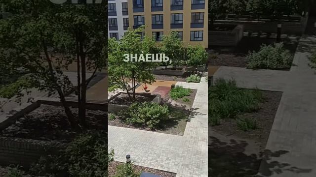 _4.mp4