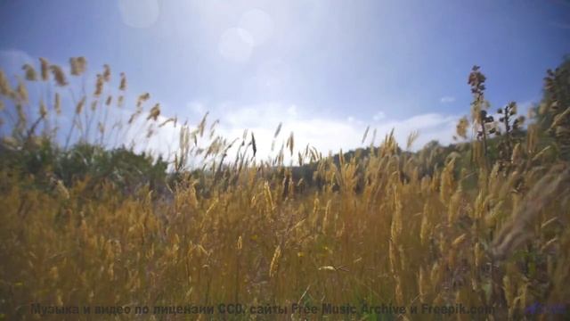 Поля раскрываются вместе с каждым новым ритмом - Shining -- Ketsa -- Through to Fall