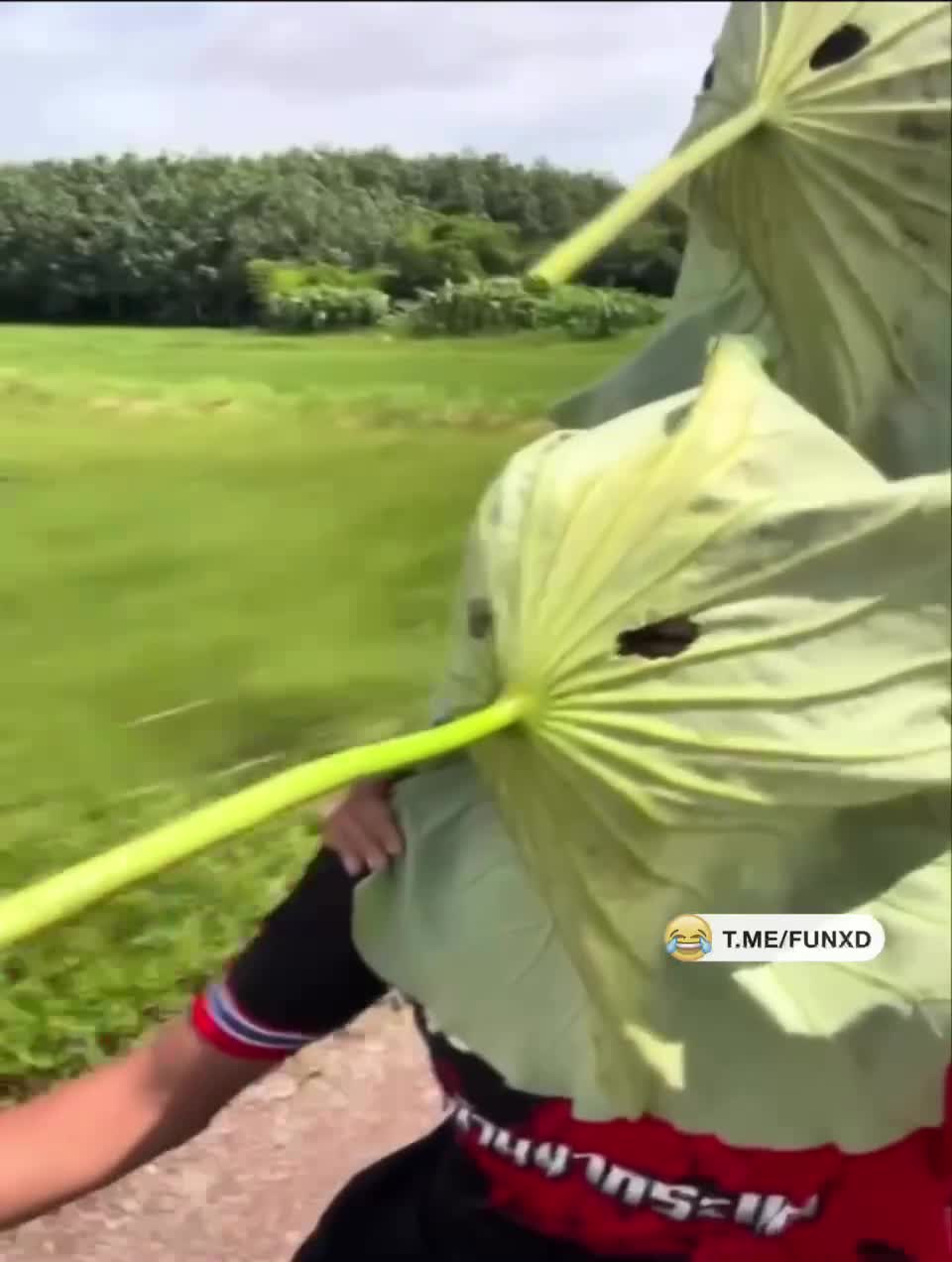 Защита на 100%😆