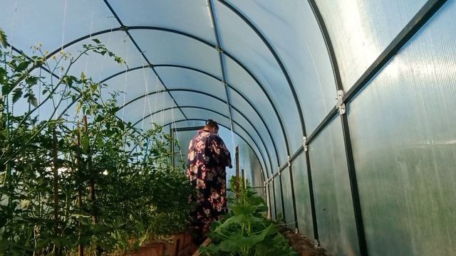 Нашла для себя иешение🥒🥒. Он такой задумчивый.🐰🐰.
