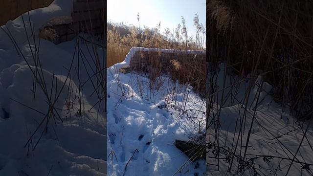 Не зная броду...