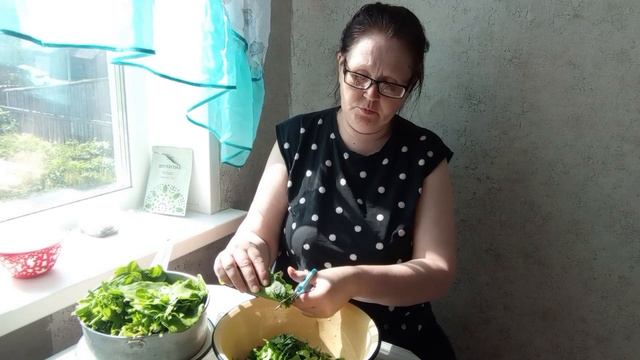 Щавель в заморозку. 23.06.2025