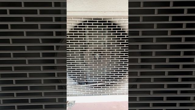 1000001467.mp4
