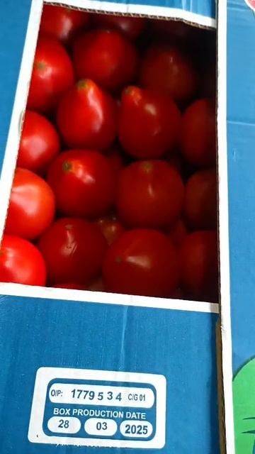 Томаты оптом