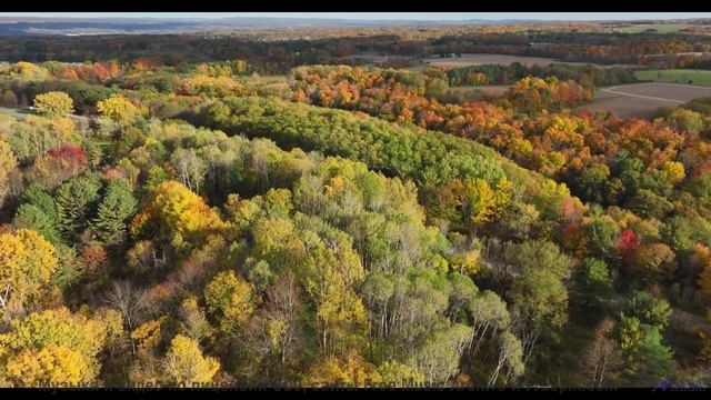 Музыка, которая зажигает огонь странствий в сердце! - 11 LB -- Shaolin Dub -- Preservation