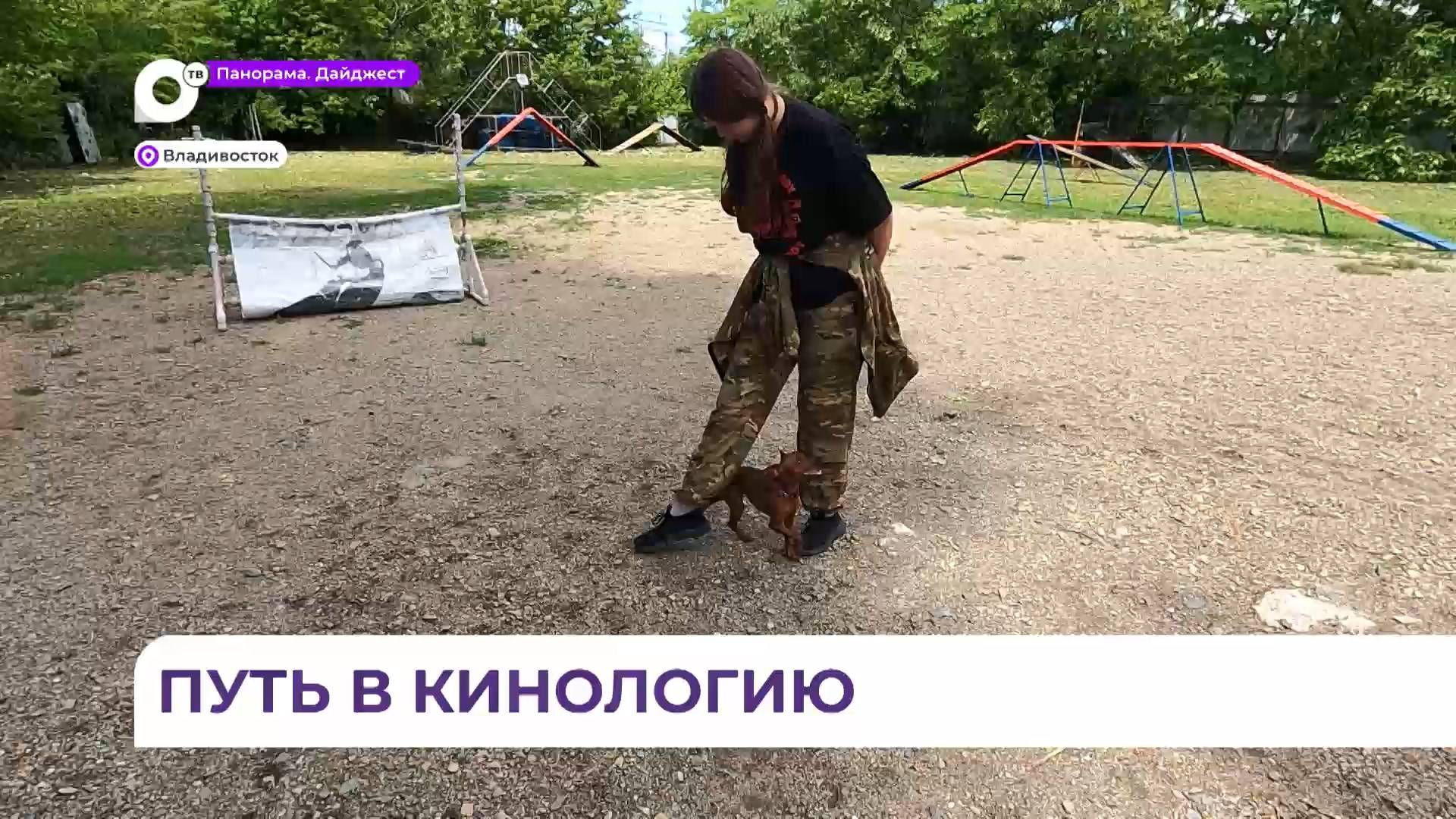 В Приморье проект «Путь в кинологию» даёт возможность стать профессиональным кинологом