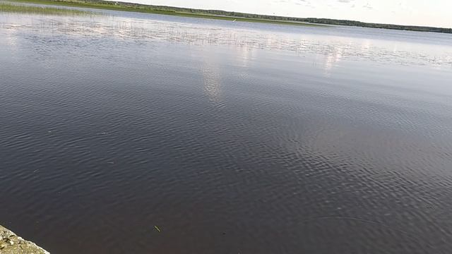Рыбалка