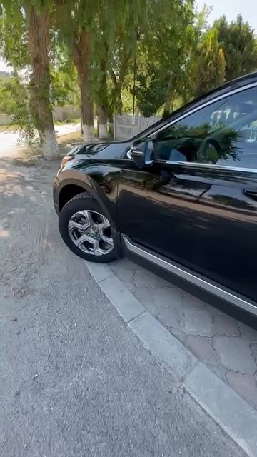 video5388973840854446097