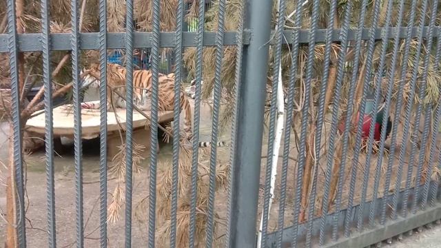 video_20250622_174229
