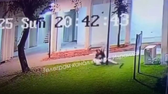 🇮🇱Израильтянка снимала кадры прилетов иранских ракет, но опасность поджидала её совсем иная…