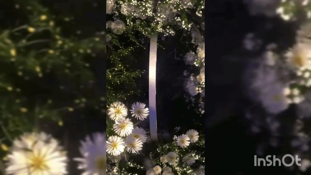 1000091380.mp4