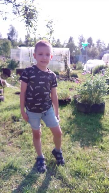 VID_20250615_175023