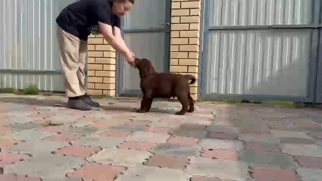 🧡ПлейБой Бен🧡 2,5 месяца