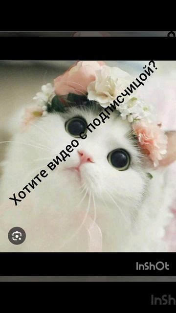 записывать или нет?