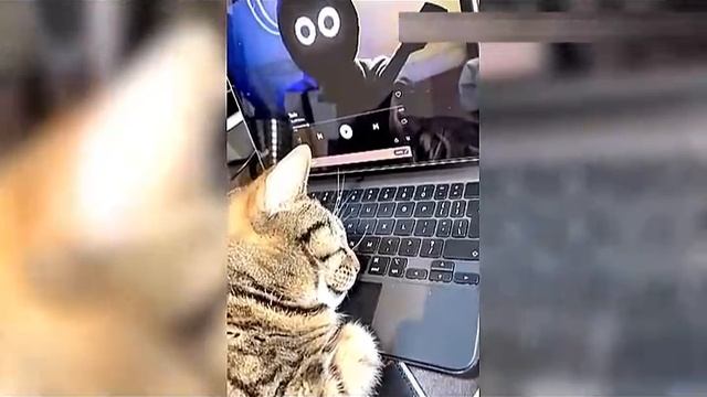 Всячинки