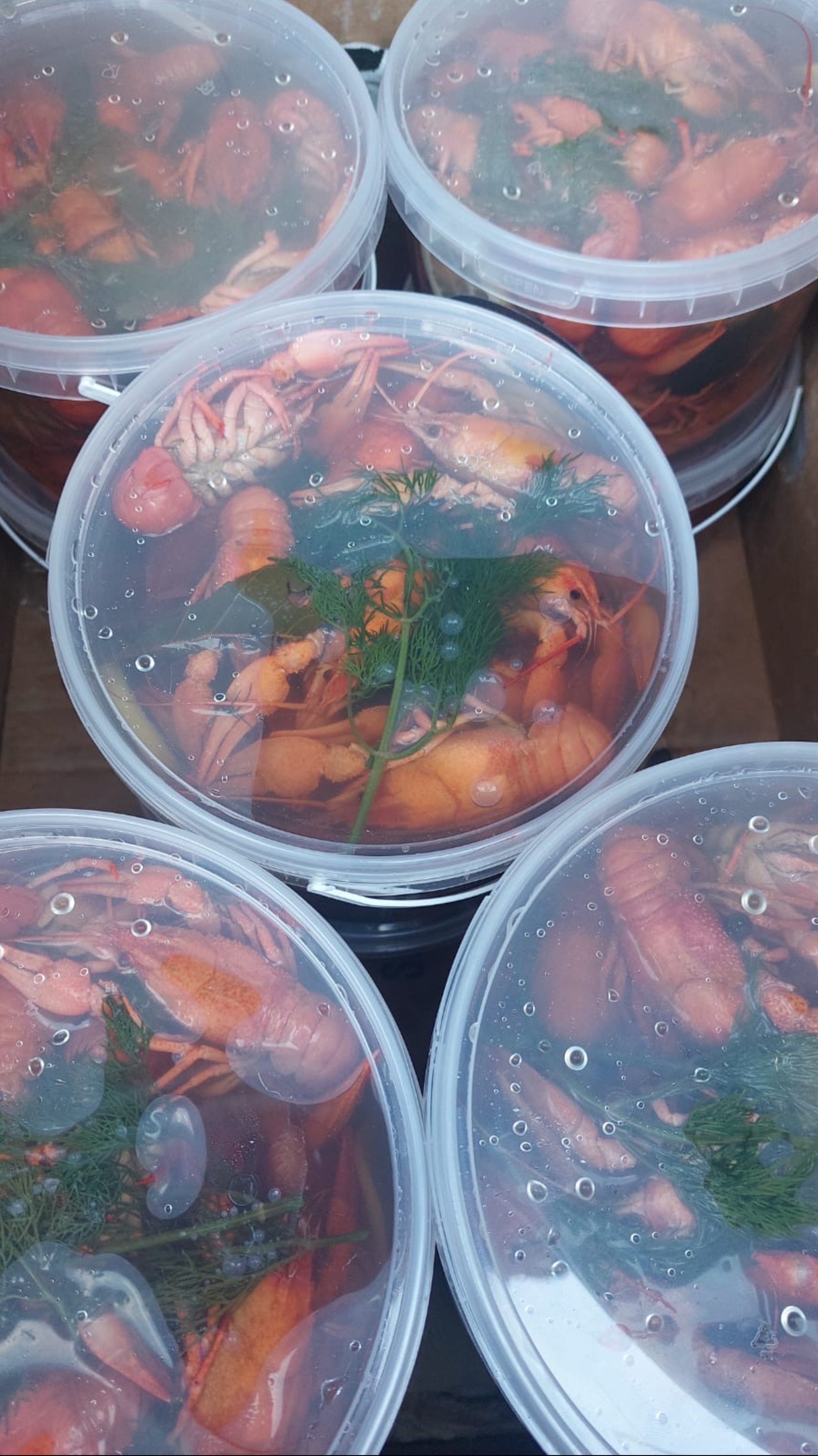 🦞Вареные Раки Хит Летнего сезона🏖️
Купил-Разогрел-Наслаждаетесь😋
Звоните/Пишите/Ждем вас в гости.