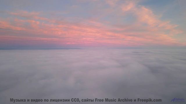 Леса и поля, от которых замирает сердце - love in this land -- Westy Reflector -- cipher e dreams