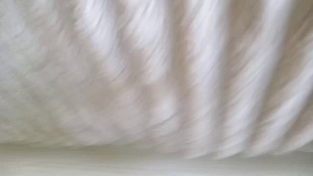 1000023556.mp4