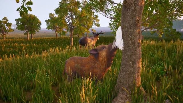 1000035590.mp4