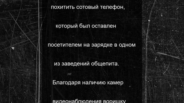 Костромская полиция задержала негодяя, обокравшего песика Бобку