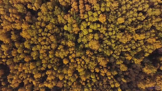 Пейзажи проникают в душу под этот трек - Chaos -- Kirk Osamayo -- Season Two (RED)