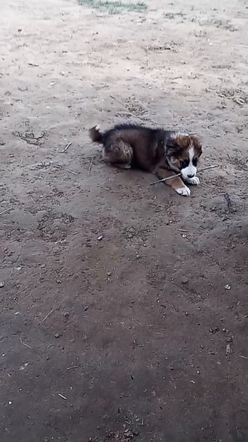 1000081157.mp4