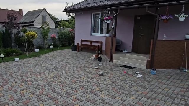 САМВЕЛ АДАМЯН, СЫТНИКИ, У НАС ПРОБЛЕМА..