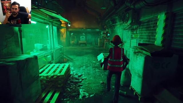 Еле спас друга от блох... Stray-14