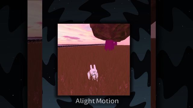 1000000224.mp4