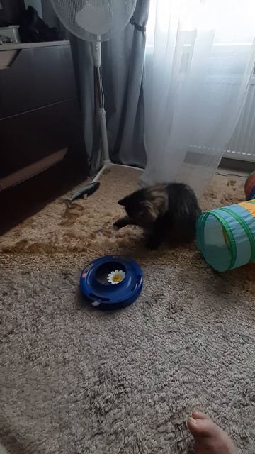 20250510_135827.mp4