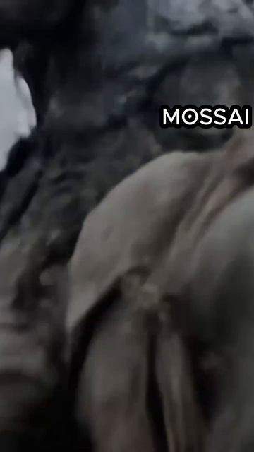 ORCS HORDE